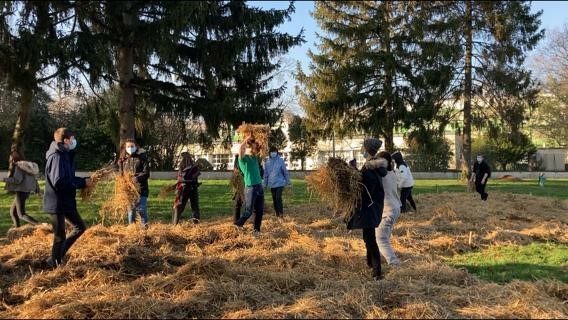 Actions pour la planète au lycée : « Sustainability »