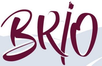 Recrutement BRIO-ches promotion 2025